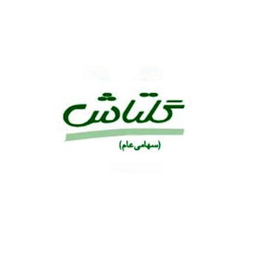 شگل-لوگو