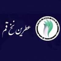 نطرین-لوگو